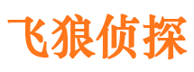 弥渡寻人公司